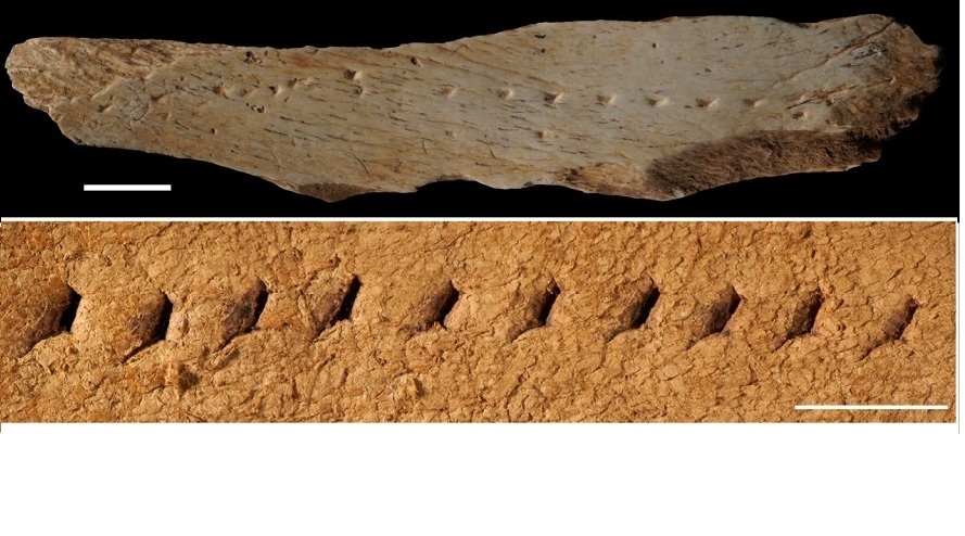 Puntades d'agulla de fa 40 mil anys