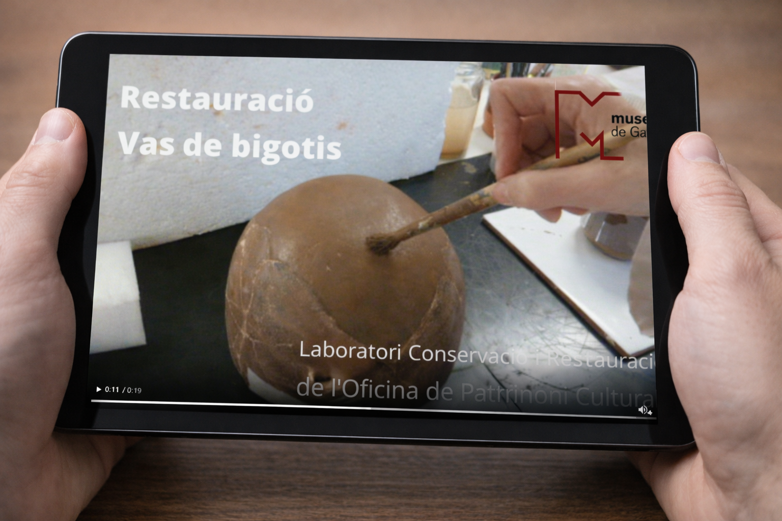 Campanya 27 de gener de 2022