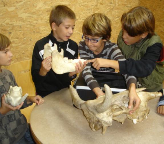Activitas educatives dels Espais patrimonials de Gavà