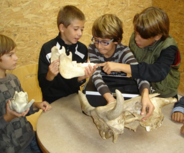 Activitas educatives dels Espais patrimonials de Gavà