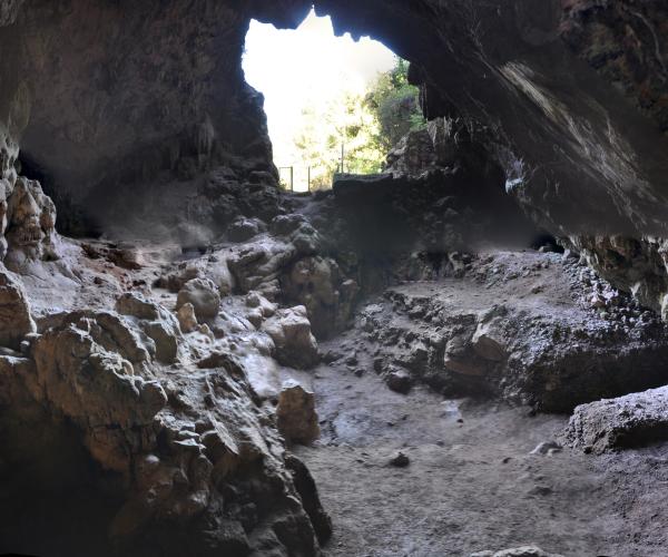 Vistes des de l'interior de la Cova Bonica de Vallirana