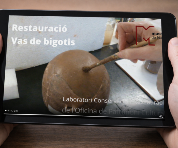 Campanya 27 de gener de 2022