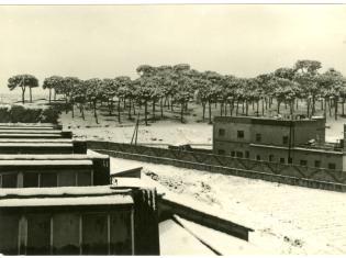 Parc del Calamot vist des de la fàbrica Serra Balet. Any 1962. Foto: Lluís Navarro. AMG.